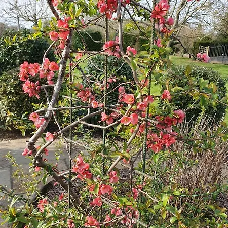 Bed & Breakfast Le Presbytere