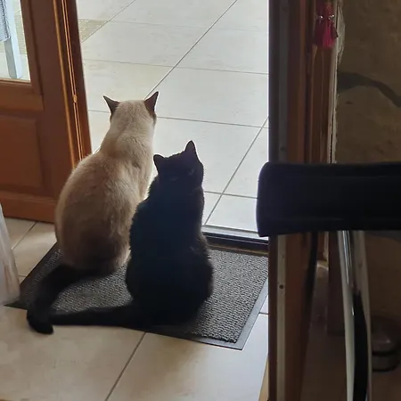 Bed & Breakfast Le Presbytere