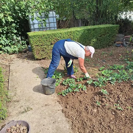 Le Presbytere ベッド・アンド・ブレックファスト Saint-Romain (Vienne)