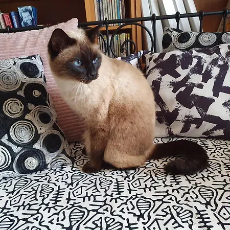 Le Presbytere Saint-Romain (Vienne)