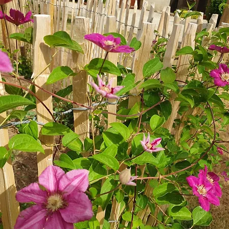 Le Presbytere * Saint-Romain (Vienne)