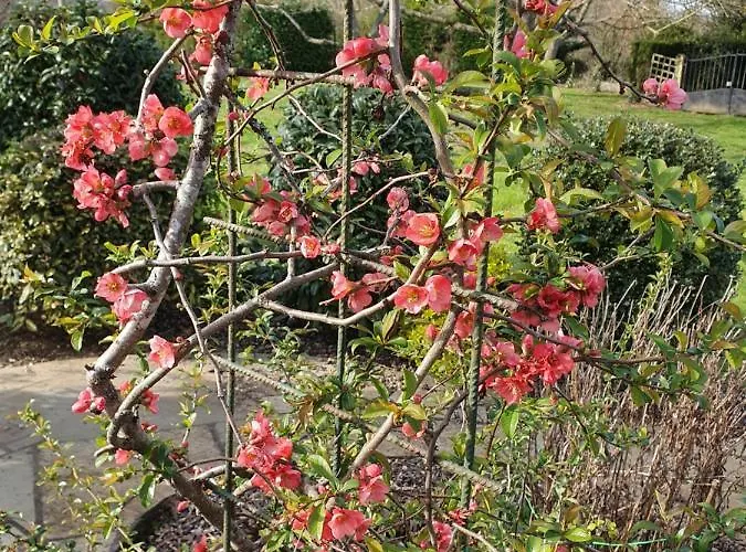 Bed and Breakfast Le Presbytere