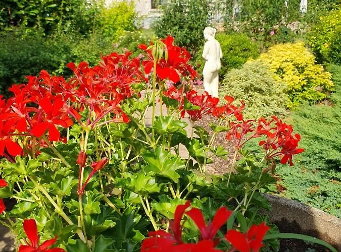 Bed and Breakfast Le Presbytere *