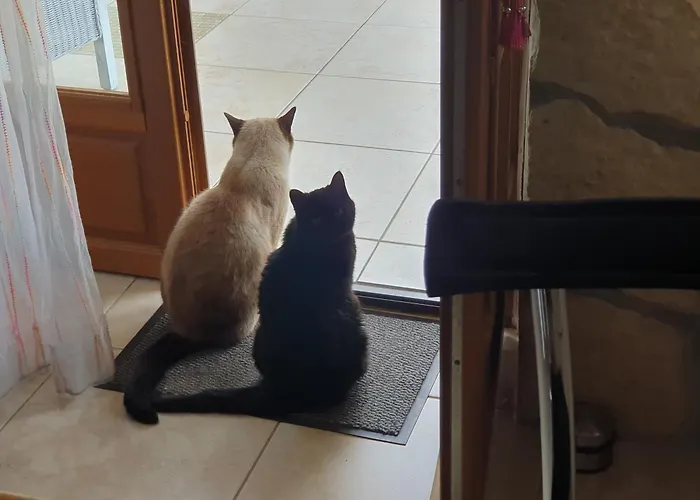 Bed and Breakfast Le Presbytere