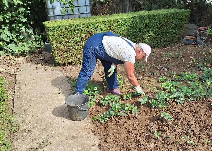 Le Presbytere Bed and Breakfast Saint-Romain (Vienne)