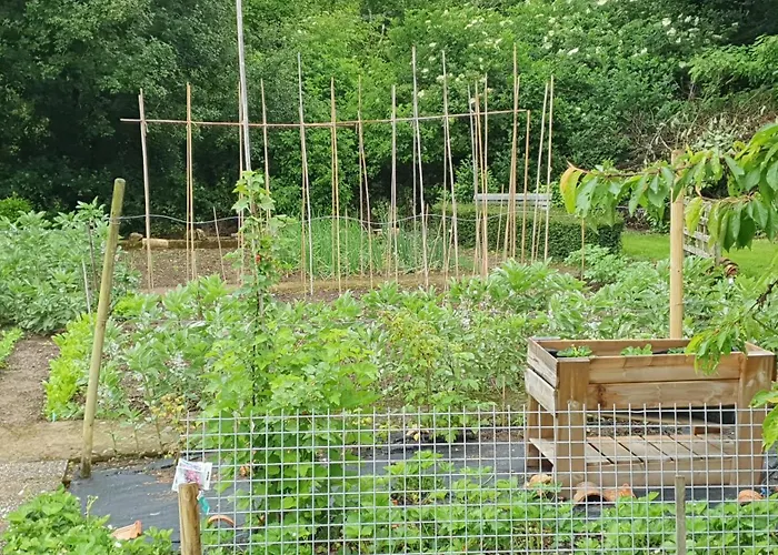 Bed and Breakfast Le Presbytere Saint-Romain (Vienne)