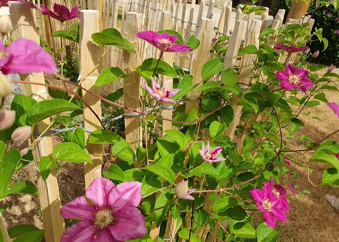 Le Presbytere * Saint-Romain (Vienne)